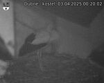 Capi_Dubne_20250403_002002.jpg