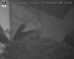 Capi_Dubne_20250403_002502.jpg