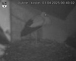 Capi_Dubne_20250403_004002.jpg