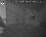 Capi_Dubne_20250403_023003.jpg