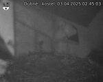Capi_Dubne_20250403_024503.jpg