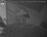 Capi_Dubne_20250403_030502.jpg