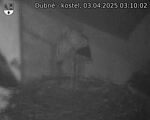 Capi_Dubne_20250403_031002.jpg