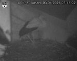 Capi_Dubne_20250403_034502.jpg