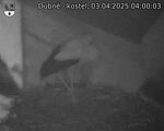 Capi_Dubne_20250403_040003.jpg