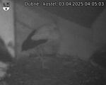 Capi_Dubne_20250403_040503.jpg