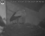 Capi_Dubne_20250403_044002.jpg
