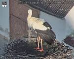 Capi_Dubne_20250403_075503.jpg