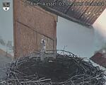 Capi_Dubne_20250403_081504.jpg