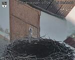 Capi_Dubne_20250403_082503.jpg