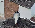 Capi_Dubne_20250403_090504.jpg
