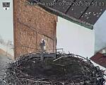 Capi_Dubne_20250403_095003.jpg