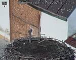 Capi_Dubne_20250403_102004.jpg