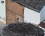Capi_Dubne_20250403_103003.jpg
