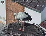 Capi_Dubne_20250403_105504.jpg