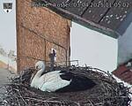 Capi_Dubne_20250403_110502.jpg
