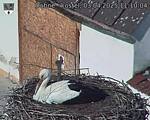 Capi_Dubne_20250403_111004.jpg