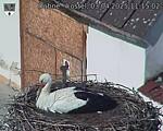 Capi_Dubne_20250403_111502.jpg