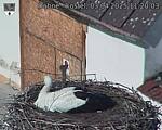 Capi_Dubne_20250403_112003.jpg