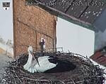 Capi_Dubne_20250403_112502.jpg