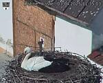 Capi_Dubne_20250403_113503.jpg