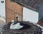 Capi_Dubne_20250403_115503.jpg