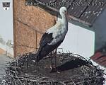 Capi_Dubne_20250403_120502.jpg