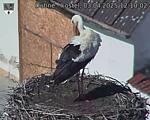 Capi_Dubne_20250403_121002.jpg