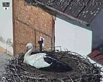 Capi_Dubne_20250403_122003.jpg