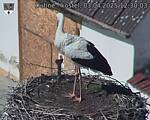 Capi_Dubne_20250403_123003.jpg