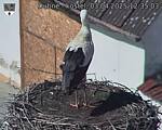 Capi_Dubne_20250403_123503.jpg