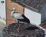 Capi_Dubne_20250403_124002.jpg