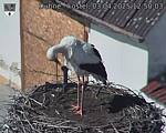 Capi_Dubne_20250403_125003.jpg