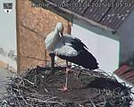 Capi_Dubne_20250403_130504.jpg