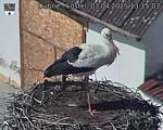 Capi_Dubne_20250403_131503.jpg