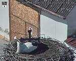 Capi_Dubne_20250403_135004.jpg