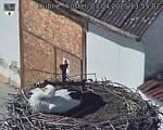 Capi_Dubne_20250403_135502.jpg