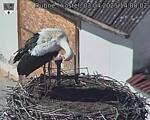 Capi_Dubne_20250403_140002.jpg