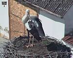 Capi_Dubne_20250403_140502.jpg