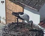 Capi_Dubne_20250403_142003.jpg
