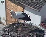 Capi_Dubne_20250403_144002.jpg