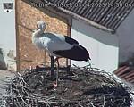 Capi_Dubne_20250403_145004.jpg