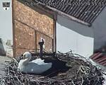 Capi_Dubne_20250403_145503.jpg