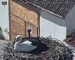 Capi_Dubne_20250403_150003.jpg