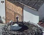Capi_Dubne_20250403_150504.jpg