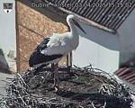 Capi_Dubne_20250403_151502.jpg