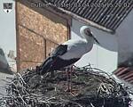 Capi_Dubne_20250403_152002.jpg