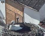 Capi_Dubne_20250403_155502.jpg