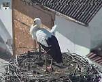 Capi_Dubne_20250403_160002.jpg