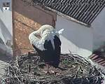 Capi_Dubne_20250403_160502.jpg